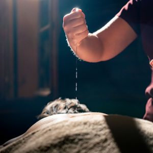 Massage Ayurvédique Abhyanga Énergétique <br/> 60 minutes